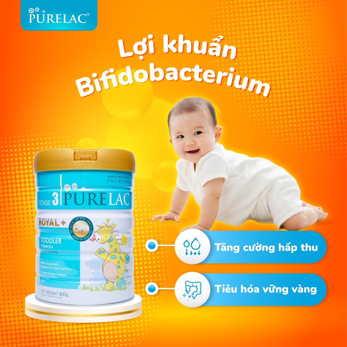 Dưỡng chất Lợi khuẩn
